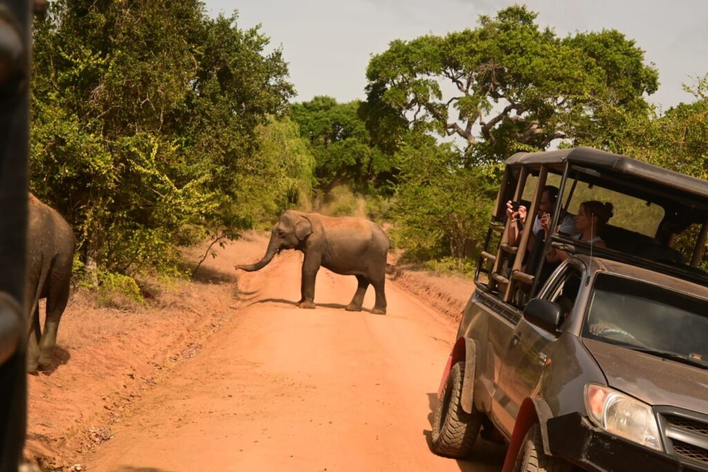 Yala National Park